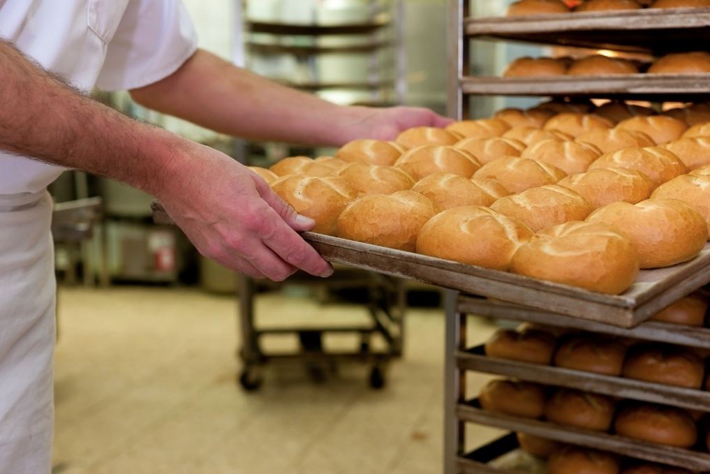 A home baker’s map for turning science into daily comfort